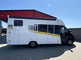 Frankia (2026) NOW 7.0 L - Fiat 2,2l/140HP - náhled 7