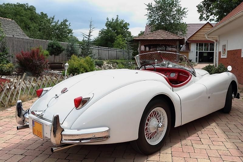Jaguar XK (1954) 140 OTS - fotka 5 z 11