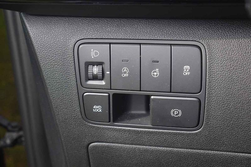 Auto se hodí k pohodlnému cestování nejen po českých luzích a hájích