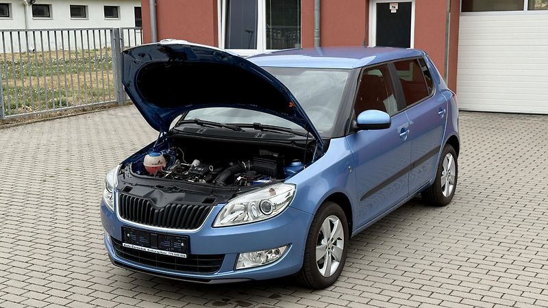 Škoda Fabia 1.2TSi*63kW*FRESH*133TKM*TOP* - fotka 26 z 32