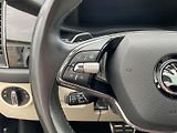 Škoda Kodiaq (2021) 2.0 TDI 4x4 DSG L&K - náhled 18