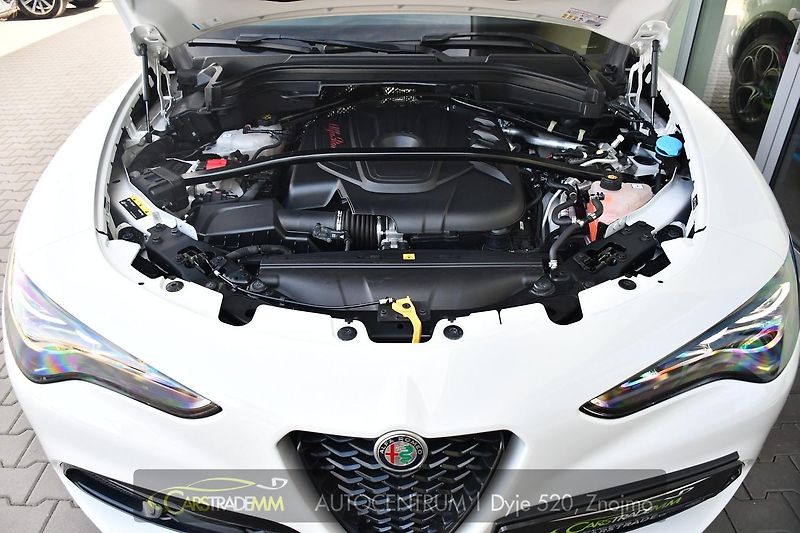 Alfa Romeo Stelvio 2.2 Diesel 16V 154kW Veloce Q4 - fotka 43 z 44