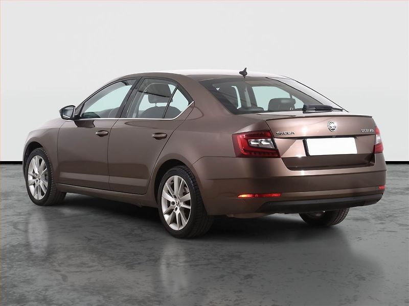 Škoda Octavia (2018) 2.0 TSI, Automat, Kůže, Navi - fotka 4 z 25