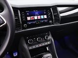 Škoda Kodiaq 2,0 TDI 147kW DSG 4x4 L&K CZ D - náhled 22