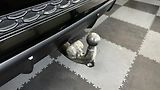 Audi SQ7 ZÁRUKA / MATRIX / 7 MÍST - náhled 19