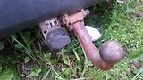 Mazda Tribute (2001) 2.0 problem start / TP export! - náhled 7