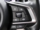 Subaru Forester 2,0 e-Boxer 110kW Executive CZ - náhled 26