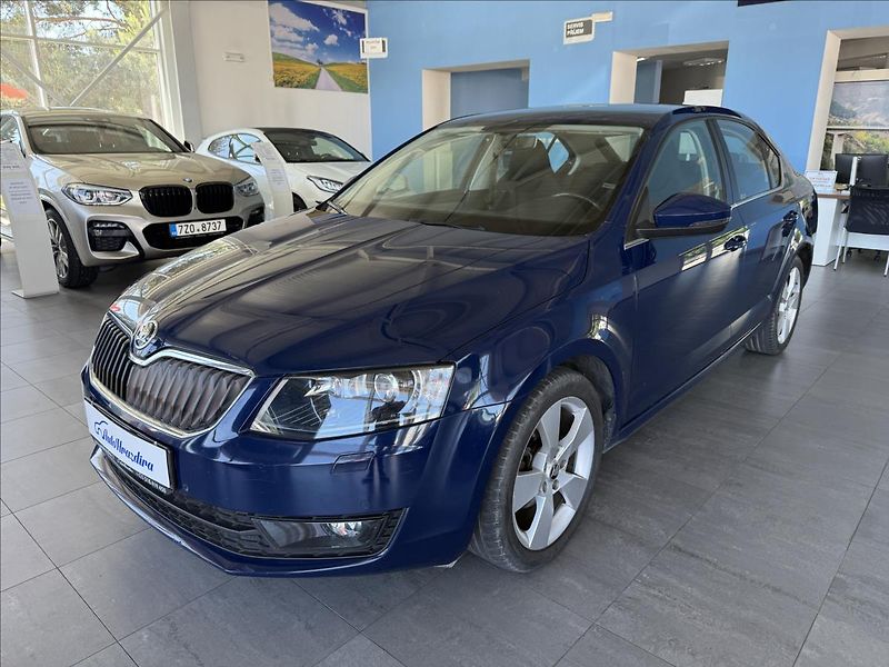 Škoda Octavia 1,4   TSI 110kW,SERVISKA,ČR - fotka 3 z 28