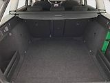 Škoda Octavia (2020) 1.6 TDI, Navi, Tempomat - náhled 13