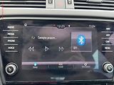 Škoda Octavia (2018) 2.0 TDi, DSG, LED, AC - náhled 16