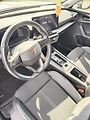 Cupra Formentor (2023) 140 kW,4x4 po servisu  - náhled 10