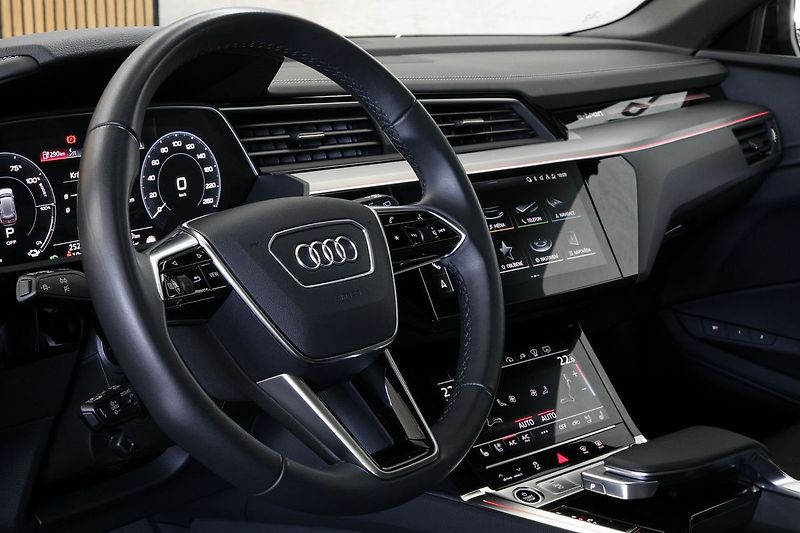Audi e-tron 55 300kW Pano NightV HUD Tažné - fotka 20 z 50