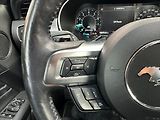 Ford Mustang 5,0 V8 331kW - CZ - AUTOMAT - náhled 21
