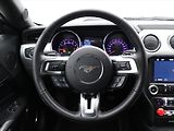 Ford Mustang 5,0 5.0 TI-VCT 324kW V8 GT CZ - náhled 16