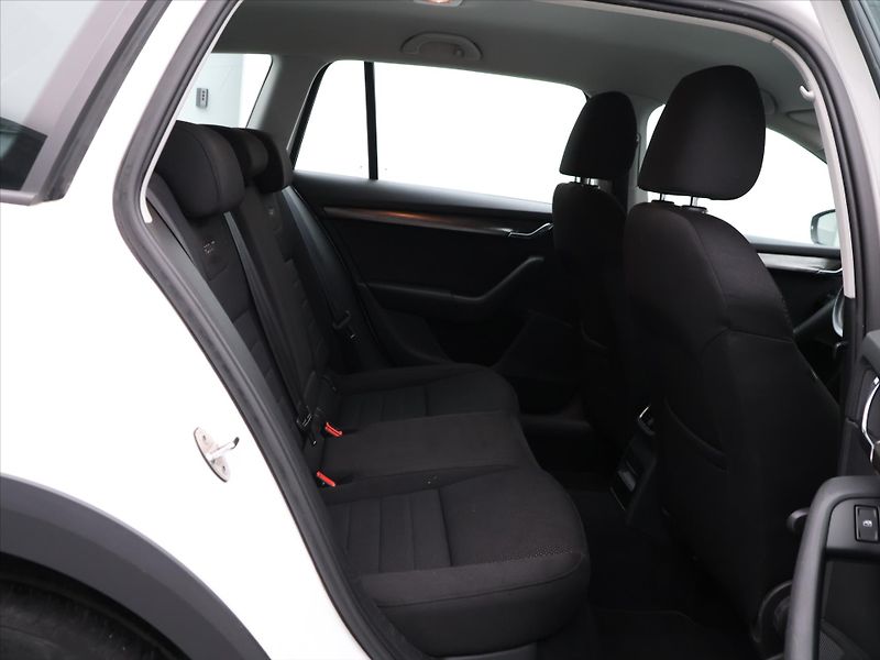 Škoda Octavia 2,0 TDI 135kW 4x4 DSG CZ Scout - fotka 12 z 28