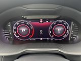 Škoda Octavia (2019) 2.0TSi 245 RS, DSG, PANO   - náhled 23