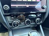 Škoda Octavia 2.0TDI 4x4 DSG - náhled 17