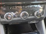 Škoda Octavia (2019) 1.6 TDi, ČR, Style, LED - náhled 14