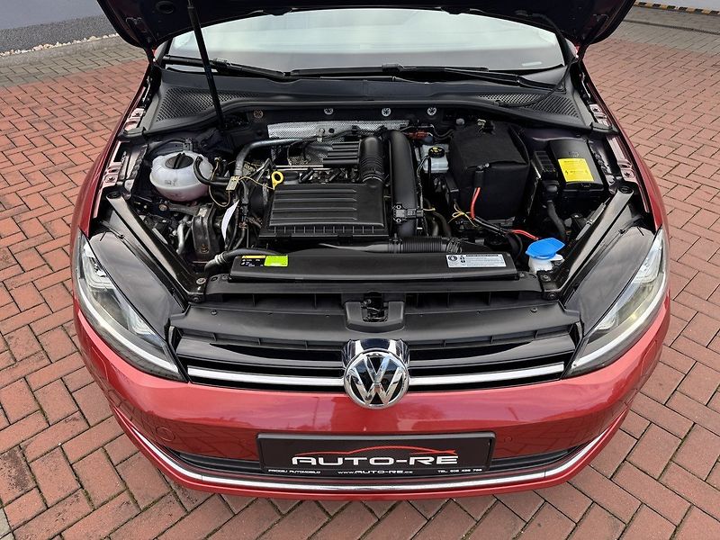 Volkswagen Golf (2016) 1.4TSi Lounge Navi Digi Klima - fotka 33 z 49