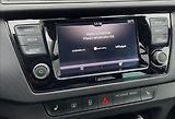 Škoda Fabia 1,0 TSi,1.maj.,ČR,po servisu - náhled 16