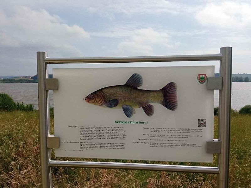 Pro ornitologa ráj, pro běžného turistu zážitek. To je Dračí jezero.