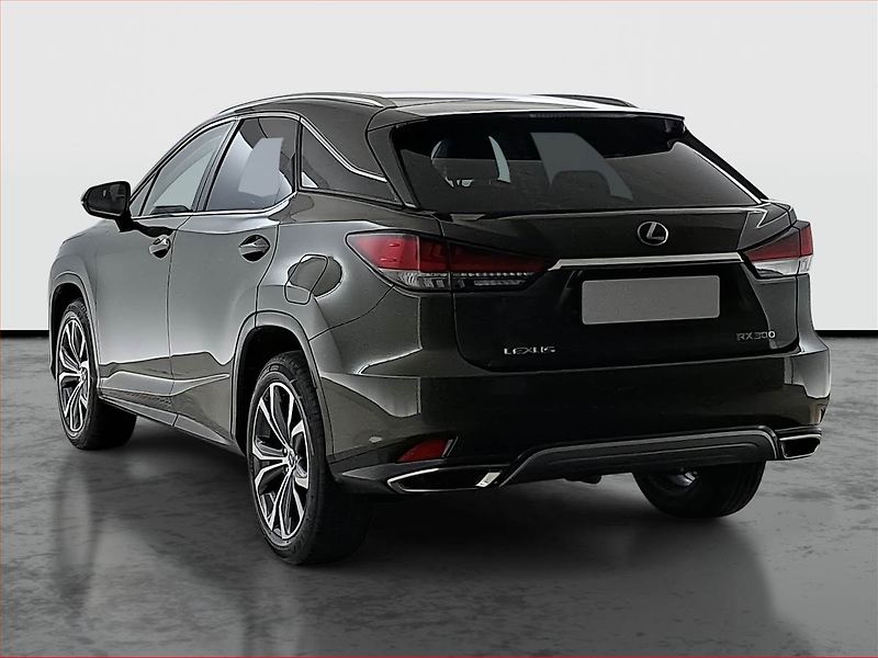Lexus RX 400h (2022) 300 AWD - fotka 4 z 24