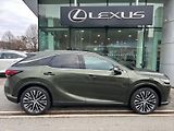 Lexus RX 350h 2.5  4V Executive Plus - náhled 7