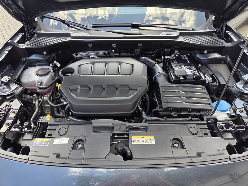 Cupra Formentor 2,0 TSi DSG 4x4 Záruka2029 ČR - fotka 20 z 22