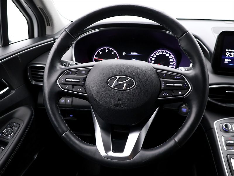 Hyundai Santa Fe 2,2 CRDi 142kW Style DCT CZ DP - fotka 19 z 41