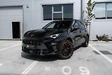 Cupra Terramar (2025) VZ 2.0 TSI 265 4DRIVE - náhled 1