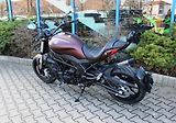 Benelli 502c (2024) 2024 AKCE POZOR - náhled 4