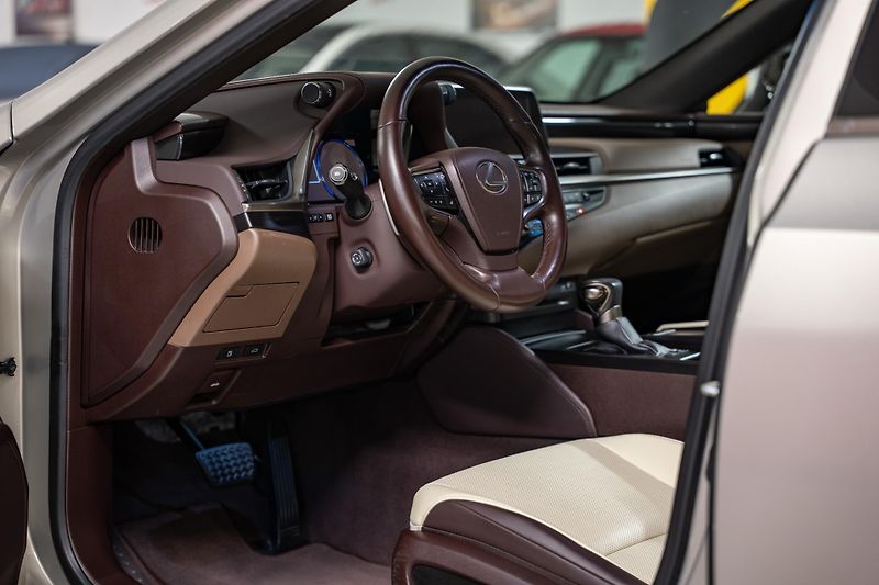 Lexus ES 300h (2020) Luxury, LED, 360, DPH - fotka 9 z 27