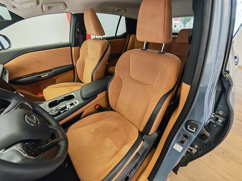Lexus RZ 450e 450e DIRECT4 LUXURY Elektro 15 - fotka 14 z 39