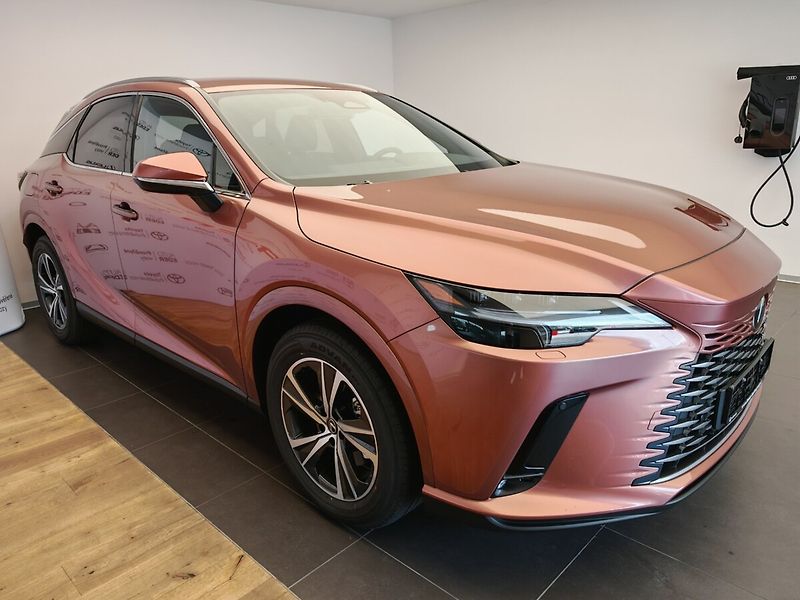 Lexus RX 450H+ Comfort Plus - fotka 3 z 45