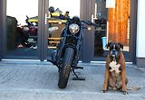 CFMOTO (2026) 450CL-C Bobber BLACK - náhled 7