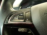 Škoda Scala (2019) 1.6 TDI, ČR, LED, park. - náhled 16