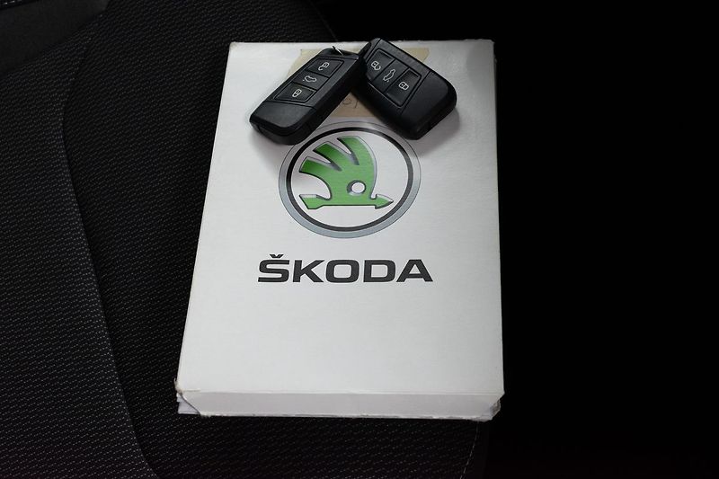 Škoda Kodiaq 2.0 TDI 110*DSG*ACC*KAMERA*DPH - fotka 30 z 38