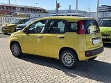 Fiat Panda (2026) Pop 1.0 BSG Hybrid 65k MT6 - náhled 4