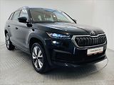 Škoda Kodiaq 2,0 TDI 147kW DSG 4x4 L&K - náhled 23