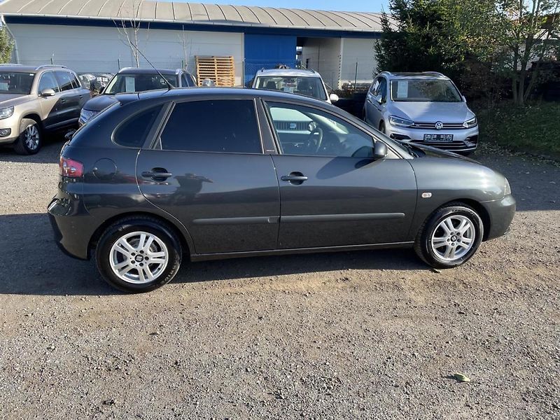 Seat Ibiza 1.2i - fotka 6 z 18