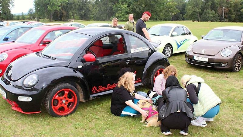 Z 33. Mezinárodního srazu Beetle a New Beetle na téma Naruby u zámku Kačina ve Svatém Mikuláši.