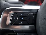 Ford Mustang 5,0 Ti-VCT V8 310kW - náhled 22