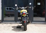Royal Enfield (2026) Bear 650 - náhled 8