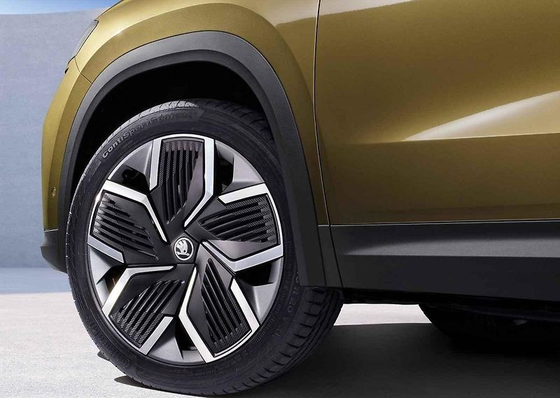 Nový Kodiaq bude často vozit rodiny na výlety