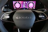 Škoda Kodiaq (2026) RS 2.0 TSI 195 kW PANO+Nez.Top - náhled 14