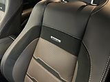 Mercedes-Benz GLE (2021) AMG 53 4MATIC+ 22