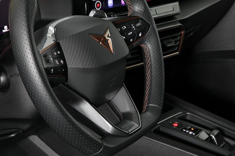 Cupra Formentor 2.0TSI 140kW DSG Matrix ZÁRUKA - fotka 19 z 37