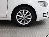 Škoda Octavia (2015) Ambition 1.6 TDI, Tempomat - náhled 12