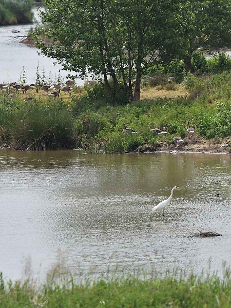 Pro ornitologa ráj, pro běžného turistu zážitek. To je Dračí jezero.
