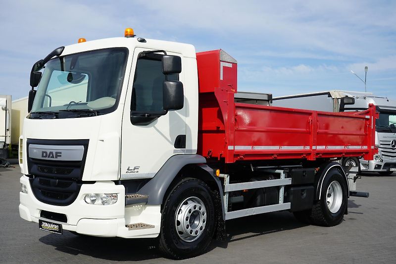 DAF LF (2019) 320 / E 6 / ACC / WYWROTKA / M - fotka 10 z 48